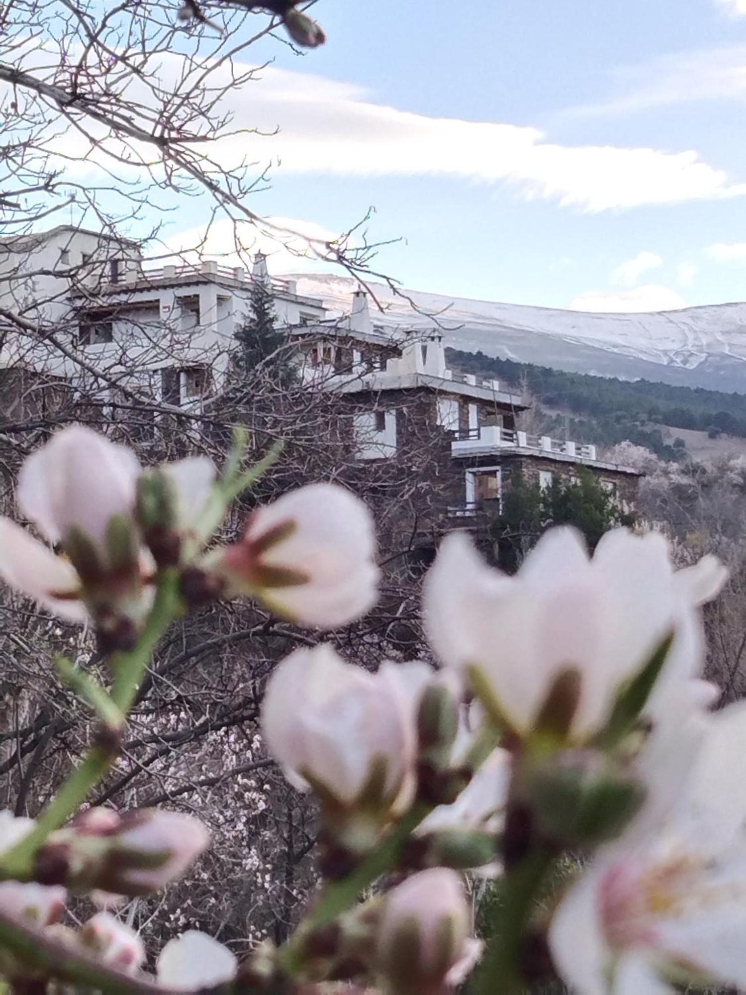 La Posada Del Altozano Lanteira المظهر الخارجي الصورة