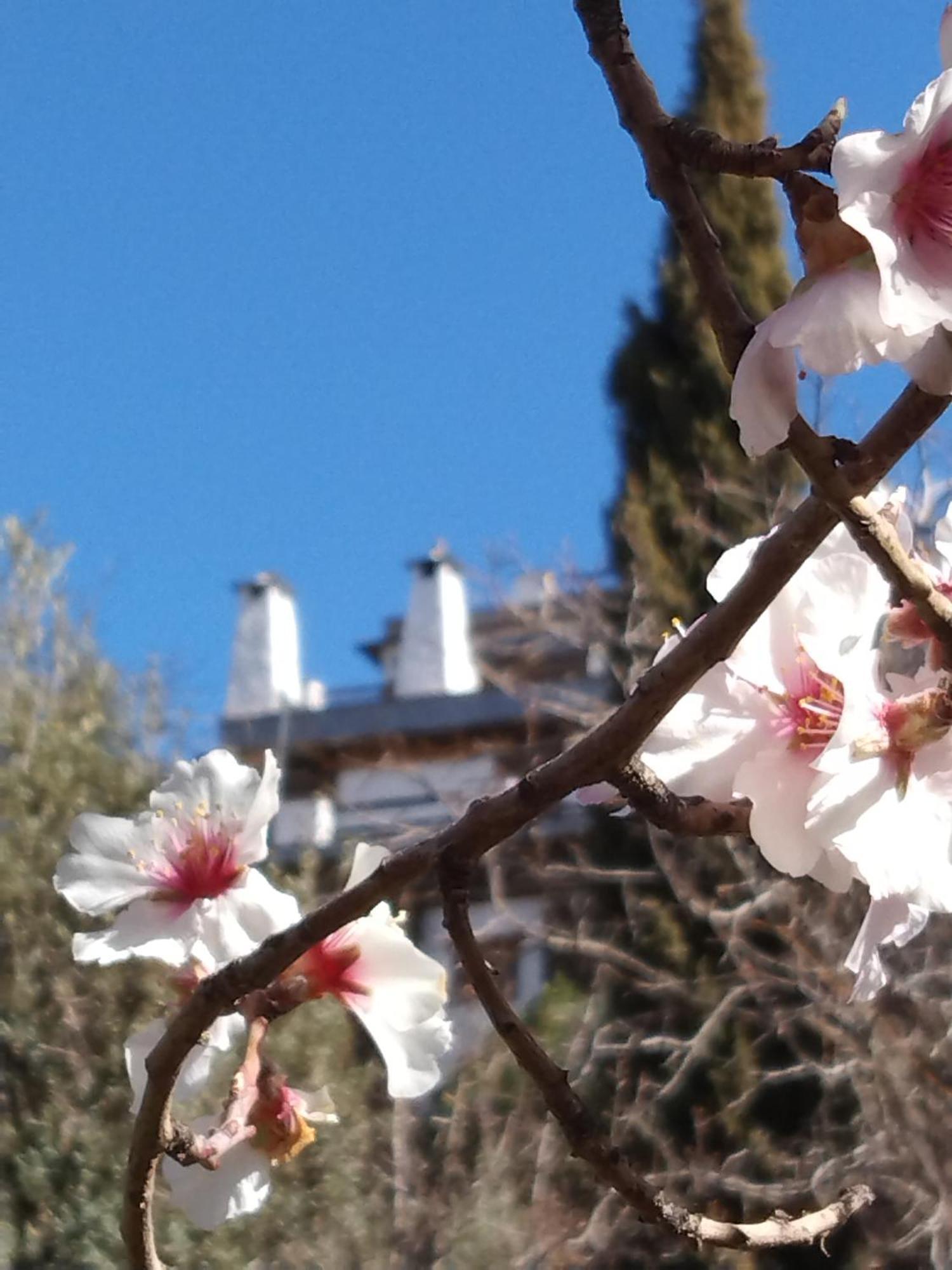La Posada Del Altozano Lanteira المظهر الخارجي الصورة