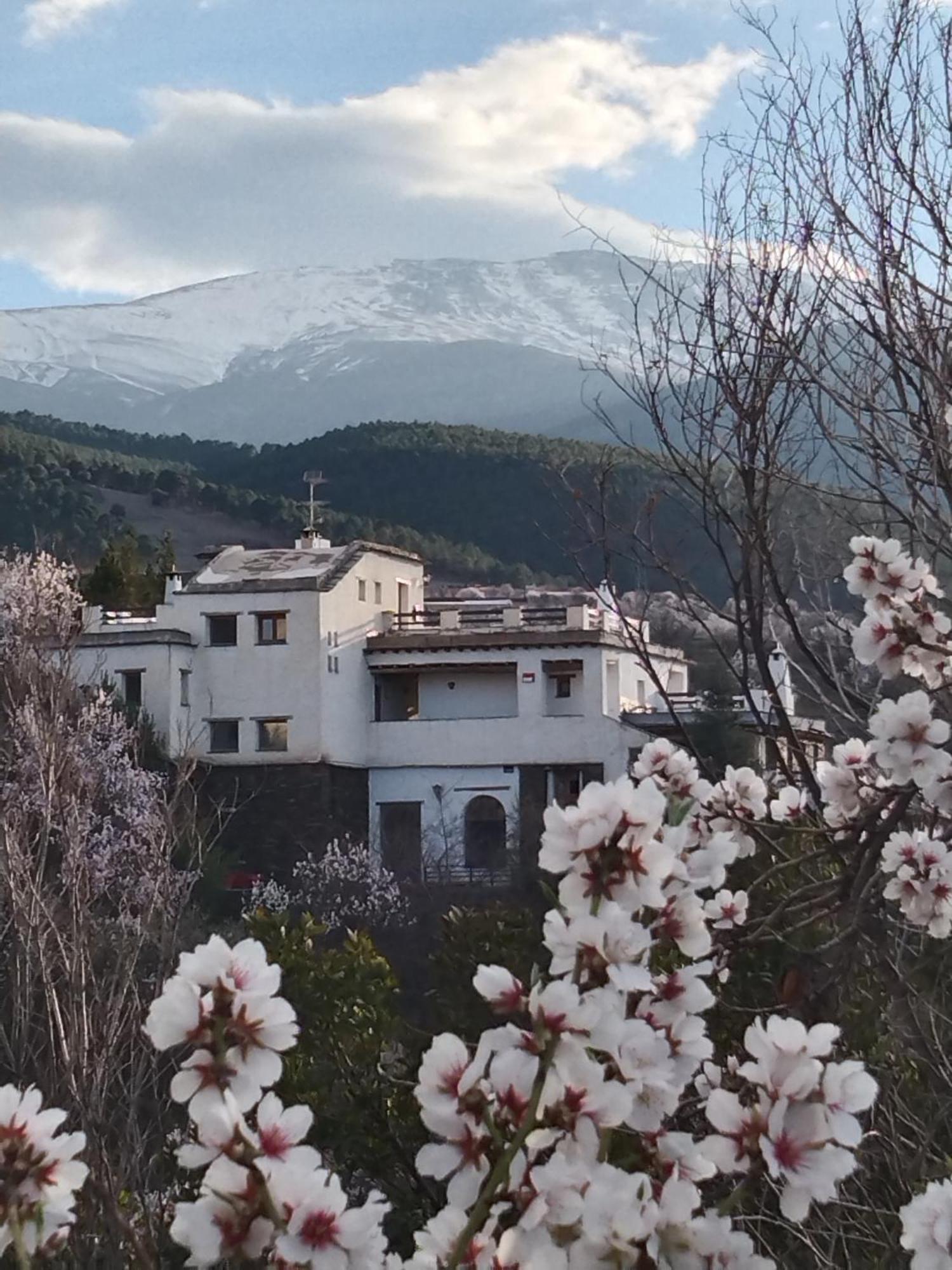 La Posada Del Altozano Lanteira المظهر الخارجي الصورة