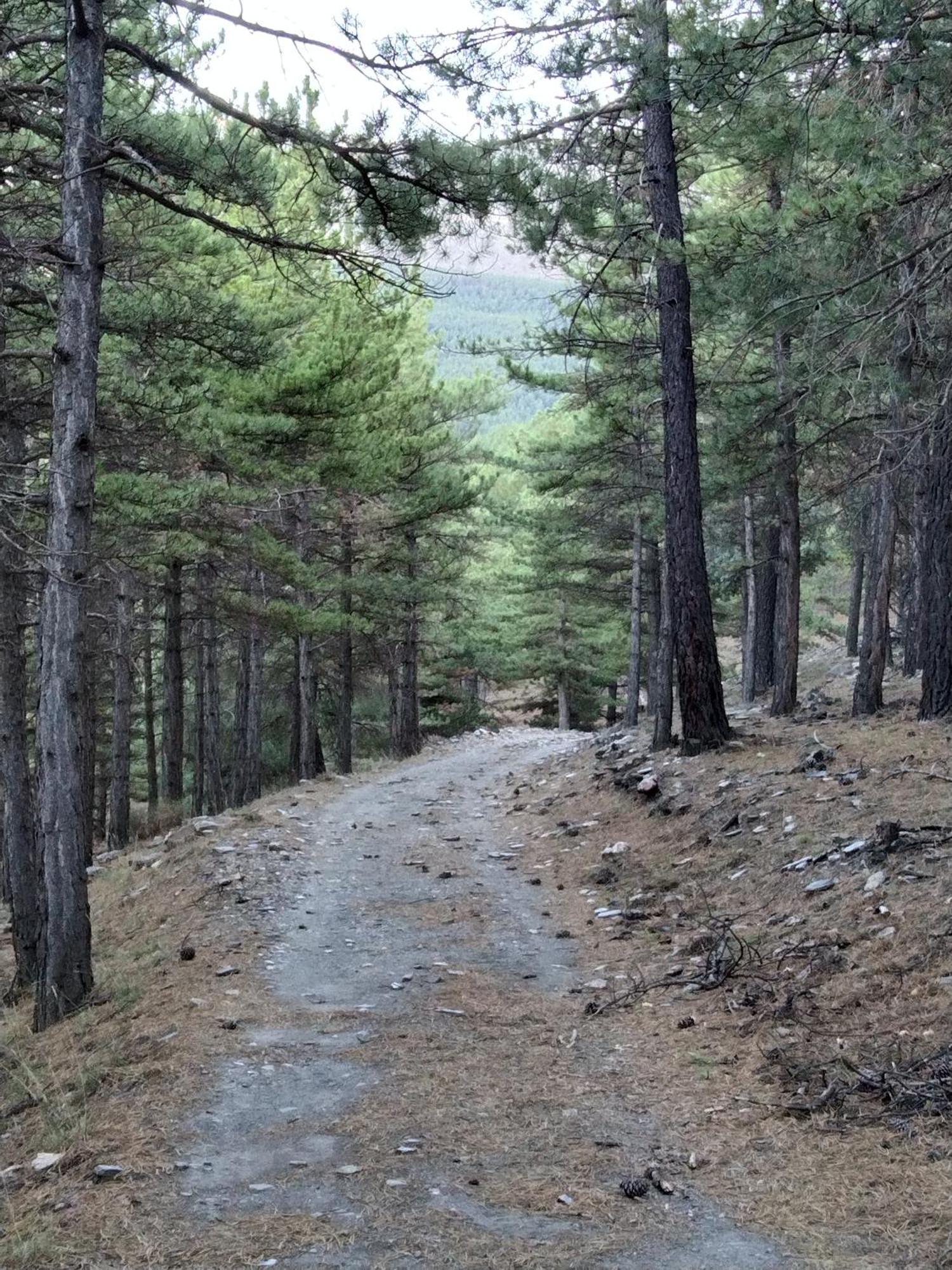 La Posada Del Altozano Lanteira المظهر الخارجي الصورة
